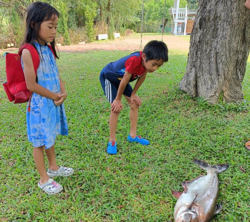 Photo of Others in Prachuap Khiri Khan