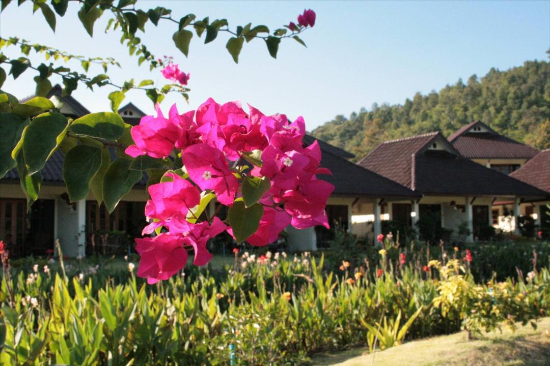 Photo of Others in Mae Ai