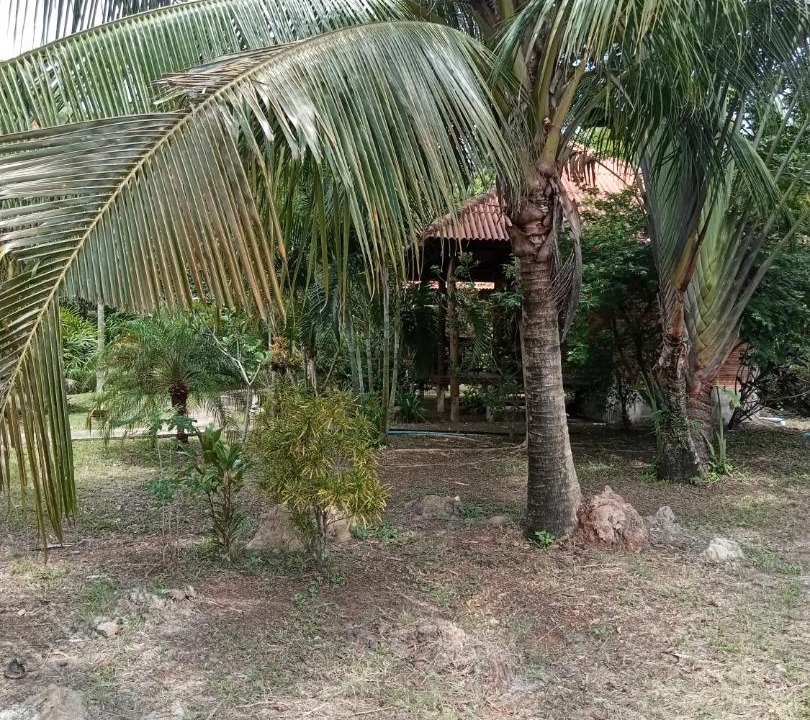 Photo of Others in Nuea Khlong