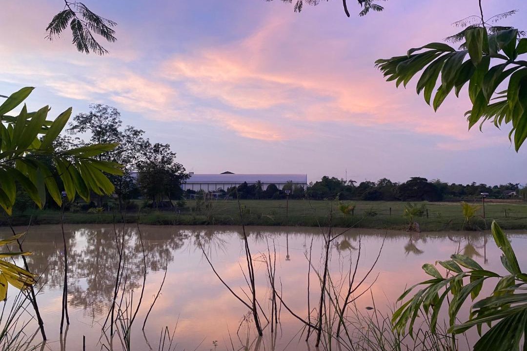 Photo of Others in Uttaradit