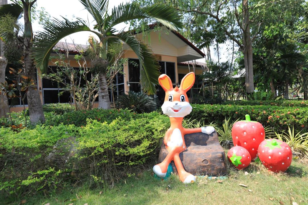 Photo of Others in Nong Pan Chan