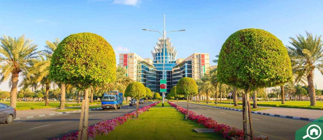 Photo of Outdoor in Dubai