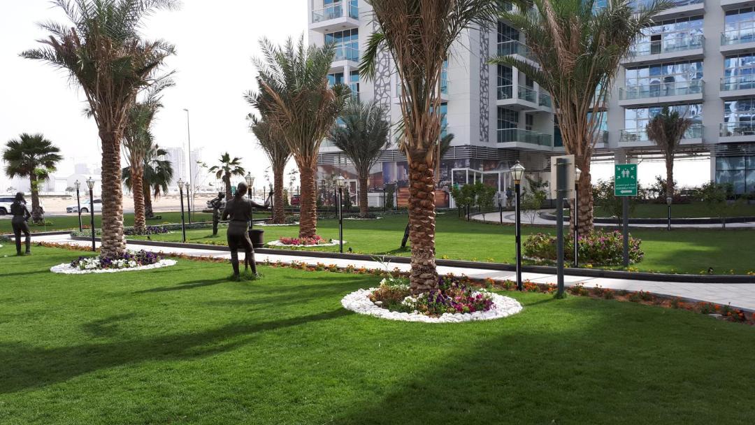 Photo of Others in Dubai