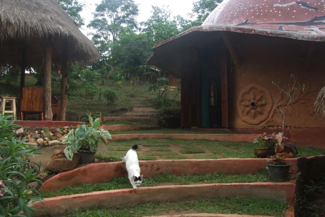 Photo of Others in Chiang Dao