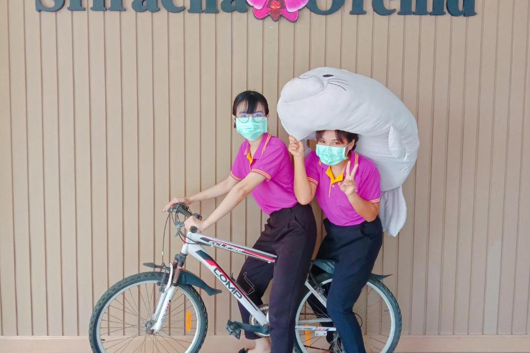 Photo of Others in Tha Thaewawong