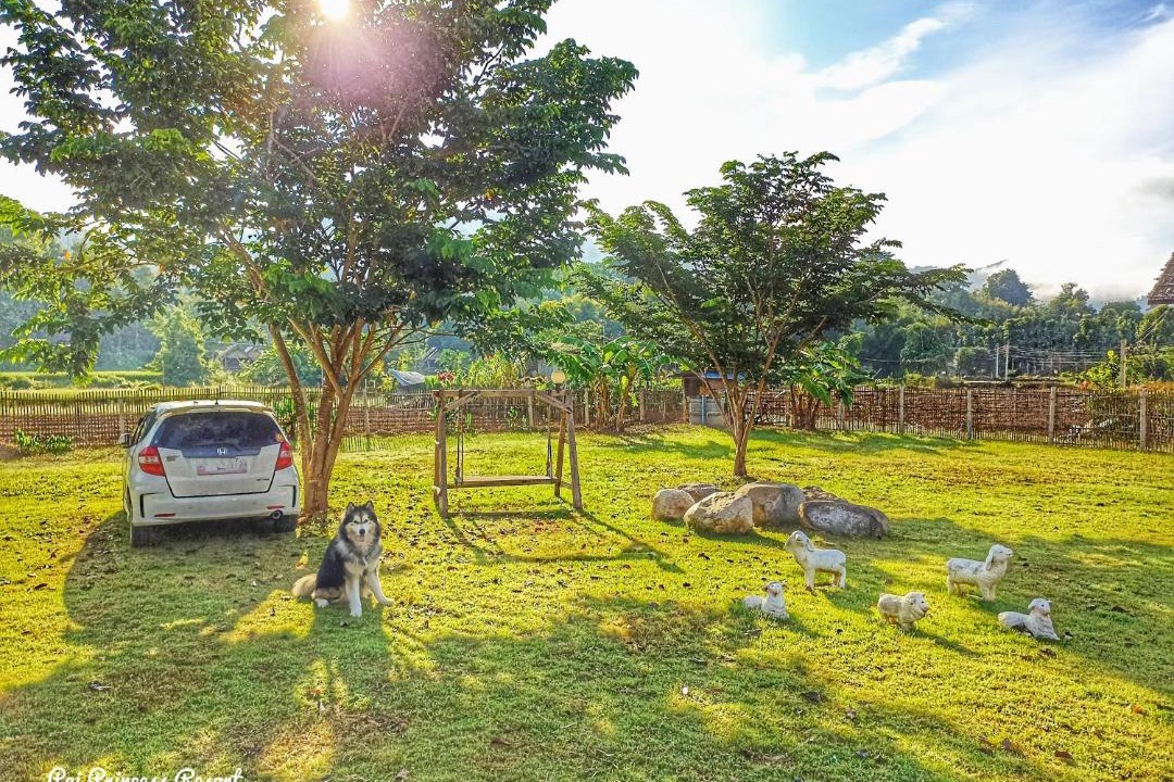 Photo of Others in Pai