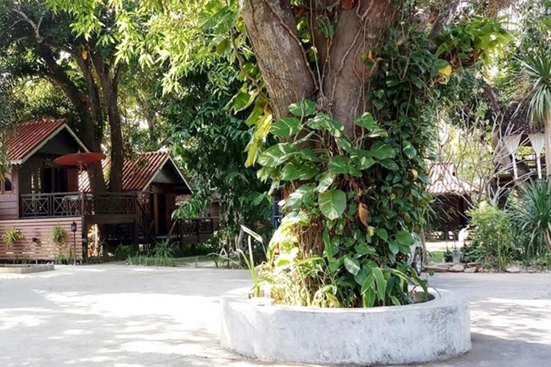 Photo of Others in Mae Hong Son