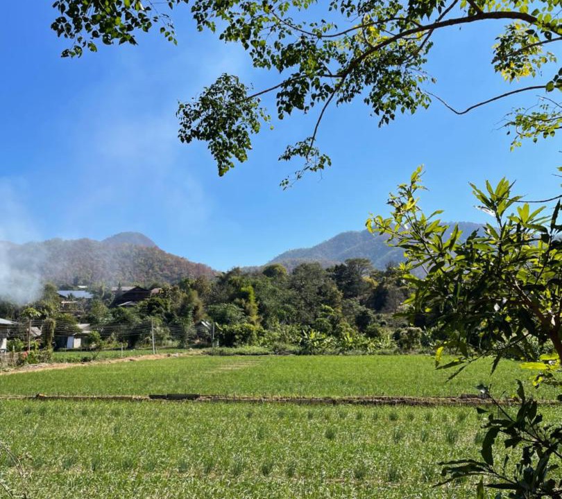 Photo of Others in Pai