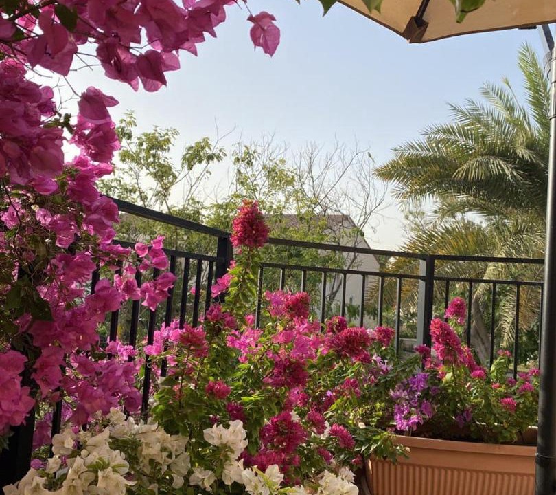 Photo of Patio Balcony in Dubai Investment Park