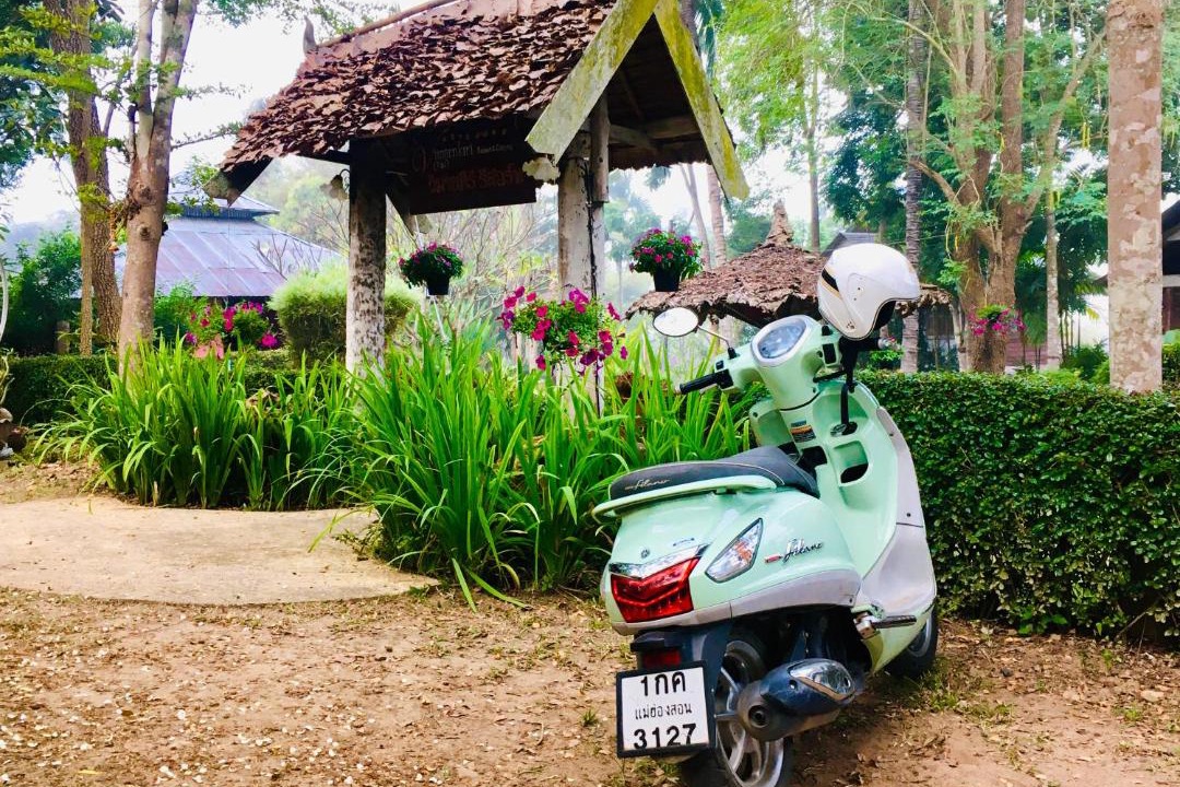 Photo of Others in Pai