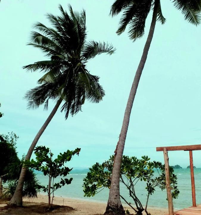 Photo of Others in Taling Ngam