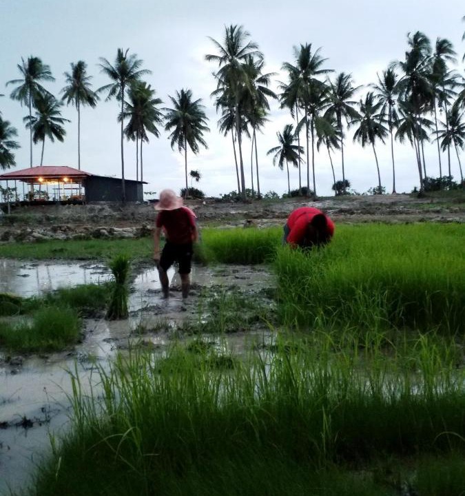 Photo of Others in Taling Ngam