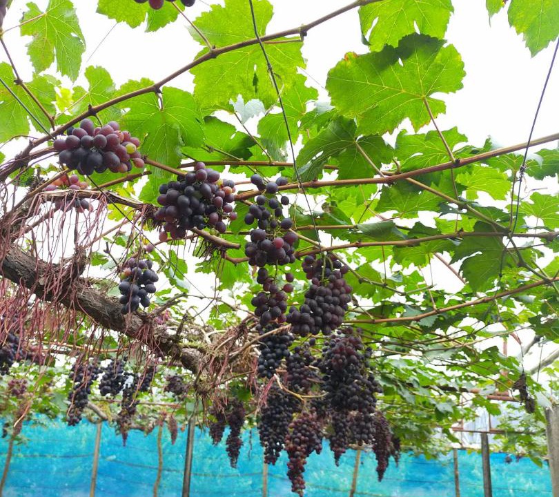 Photo of Outdoor in Huai Makhuea Som