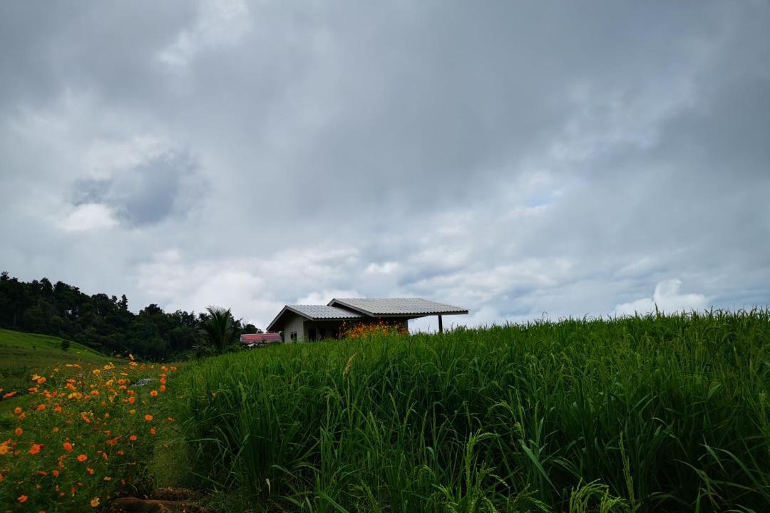 Photo of Others in Mae Chaem