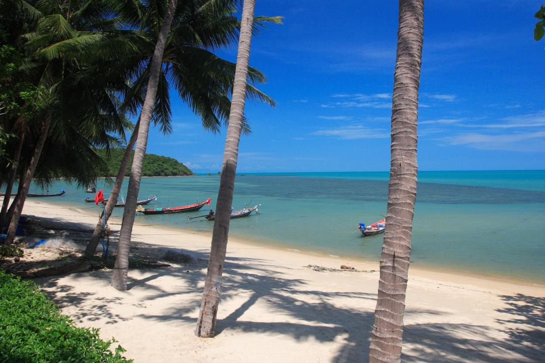 Photo of Others in Lipa Noi