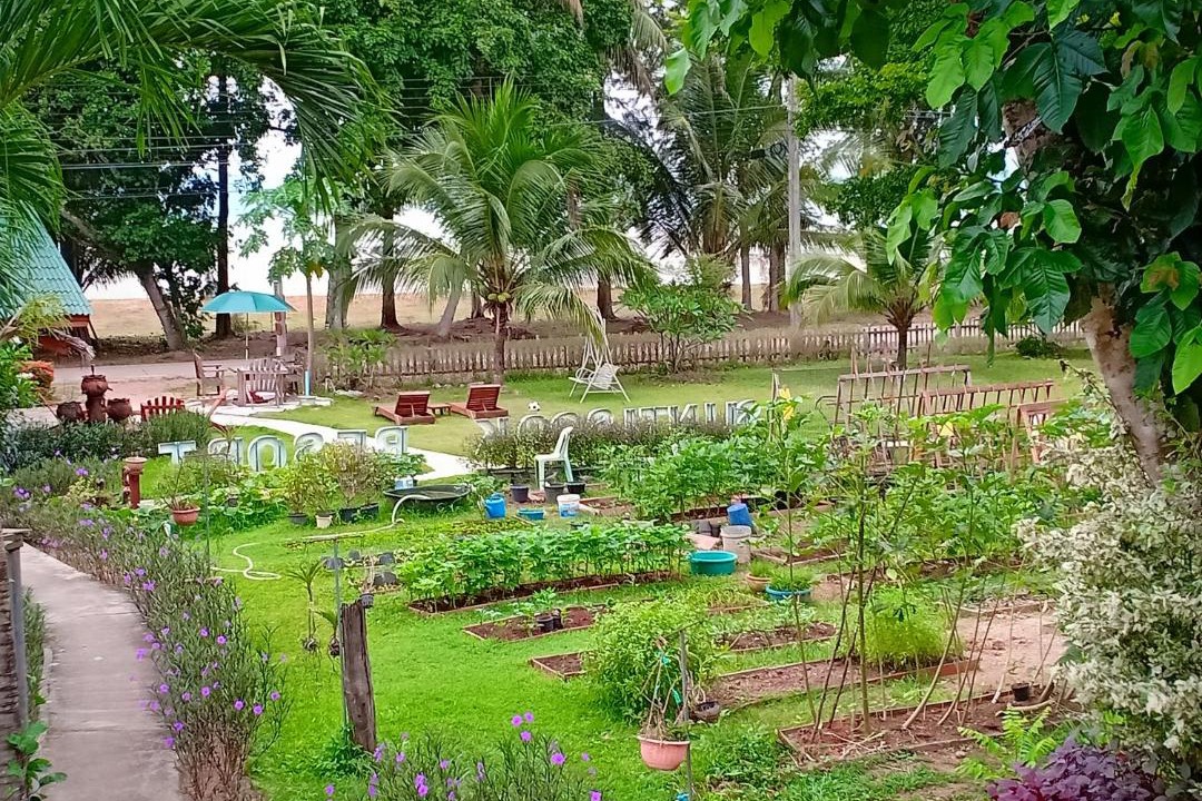 Photo of Others in Ko Yao