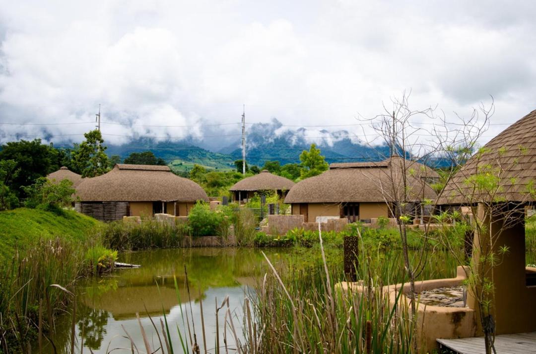 Photo of Others in Pai