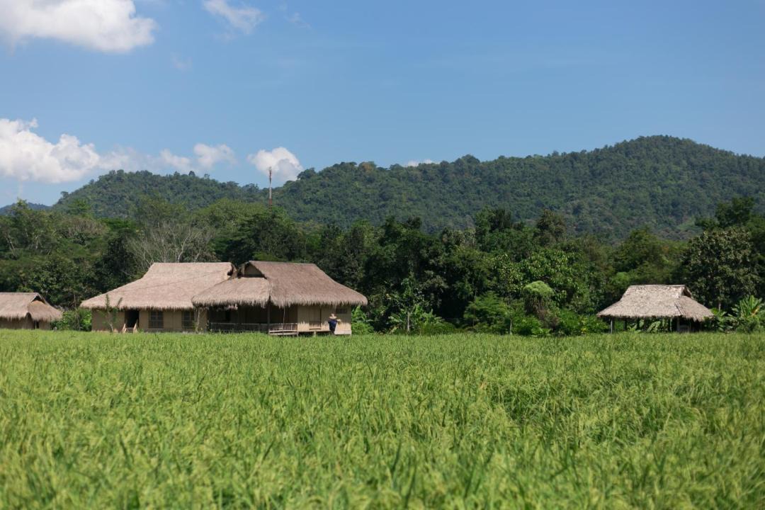 Photo of Others in Mae Taeng