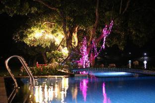 Photo of Others in Chom Thong