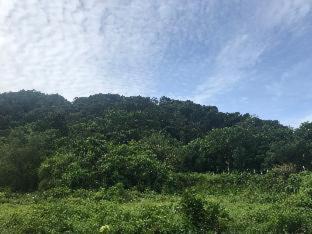 Photo of Outdoor in Ranong