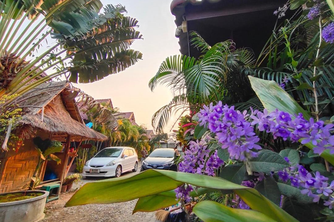 Photo of Others in Mae Sai