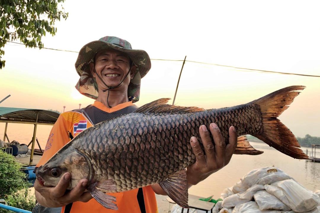 Photo of Human In Picture in Nakhon Chai Si