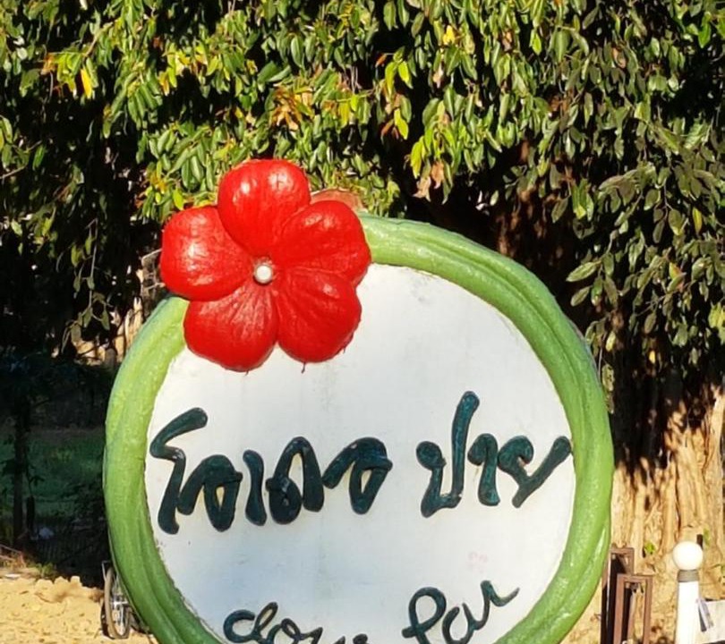 Photo of Others in Pai