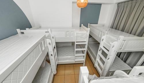 Bunk Bed in Mixed Dormitory Room