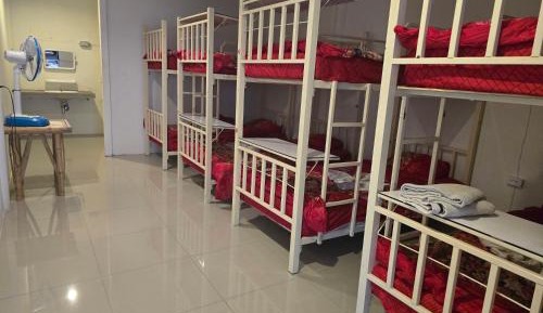 Bed in 8-Bed Mixed Dormitory Room