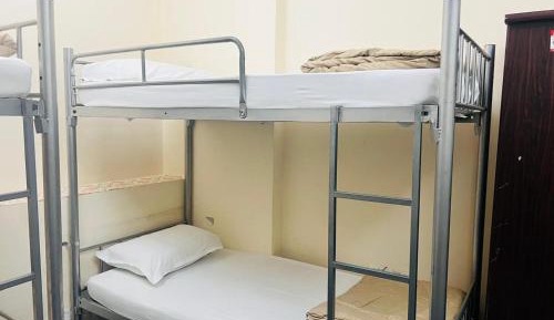 Bunk Bed in Mixed Dormitory Room