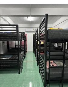 Bunk Bed in Mixed Dormitory Room