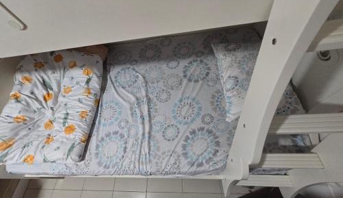 Single Bed in Mixed Dormitory Room
