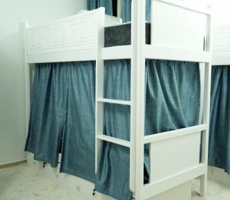 Bunk Bed in Mixed Dormitory Room