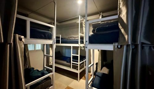 Bunk Bed in Mixed Dormitory Room