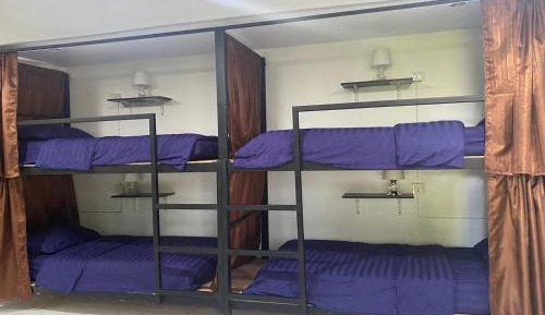 Bed in 4-Bed Mixed Dormitory Room