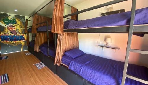 Bunk Bed in Mixed Dormitory Room