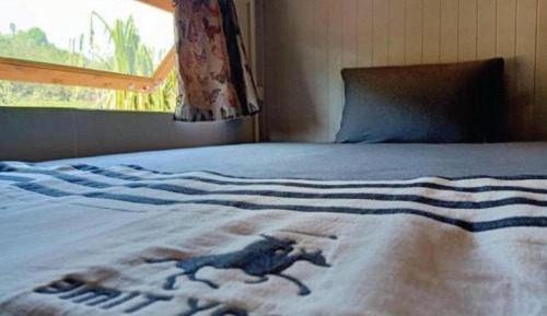 Bed in 8-Bed Dormitory Room