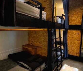 Bunk Bed in Mixed Dormitory Room