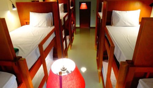 Bed in 14-Bed Mixed Dormitory Room