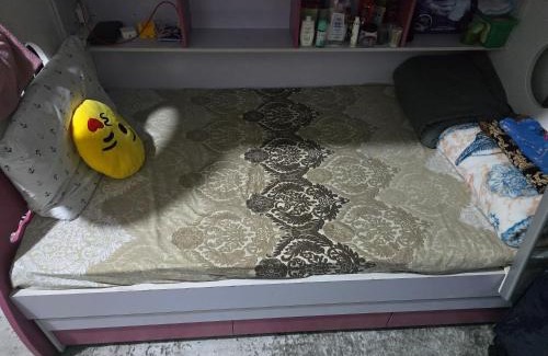 Dubai Hostel | Dubai Dxb Hostel and Pension
